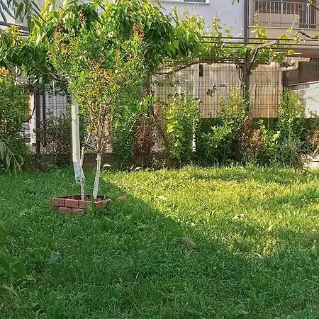 Apartament Mvine