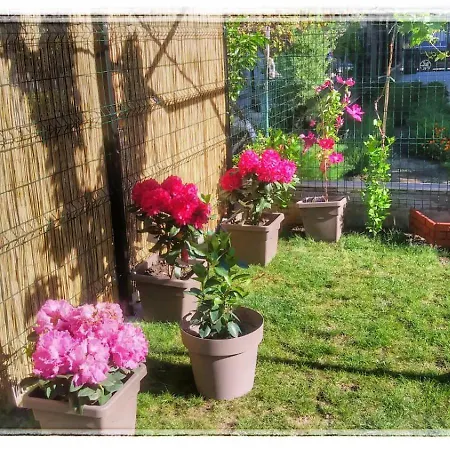 Apartament Mvine